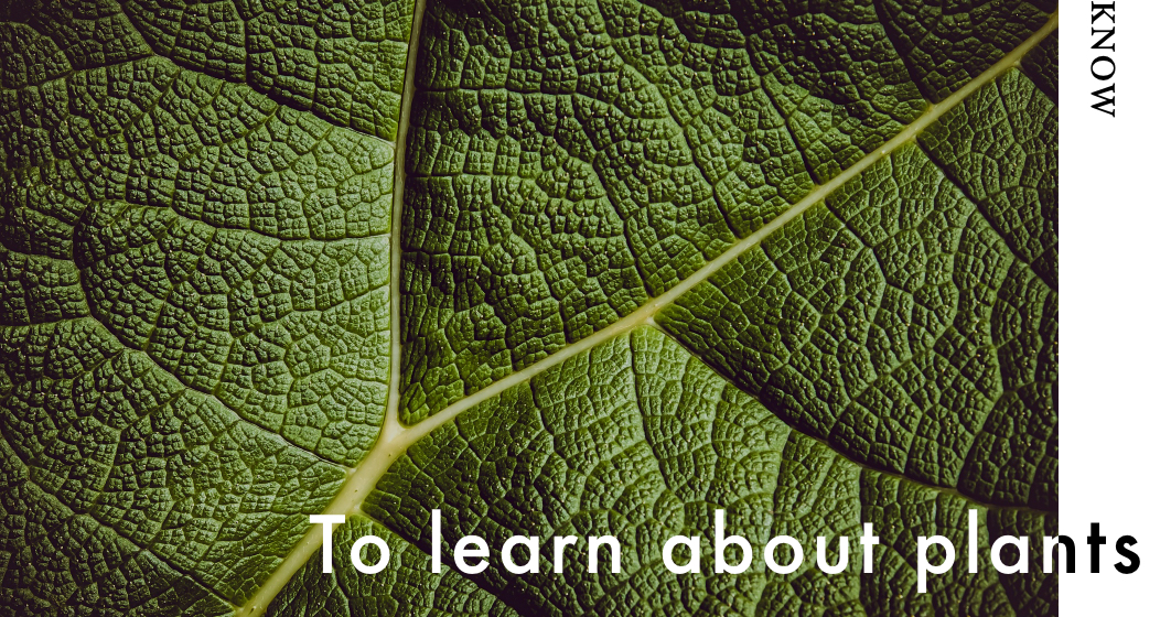 To learn about plants 